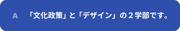 「文化政策」と「デザイン」の２学部です。
