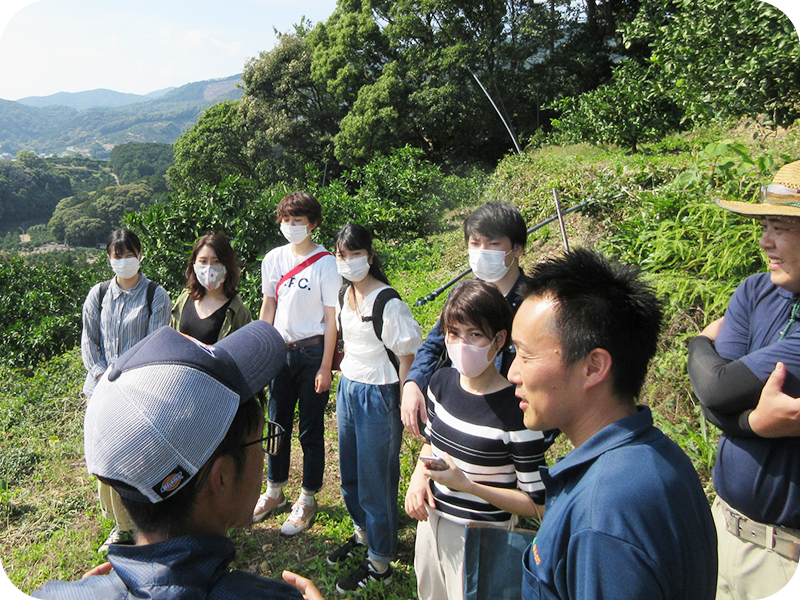 フィールドワーク