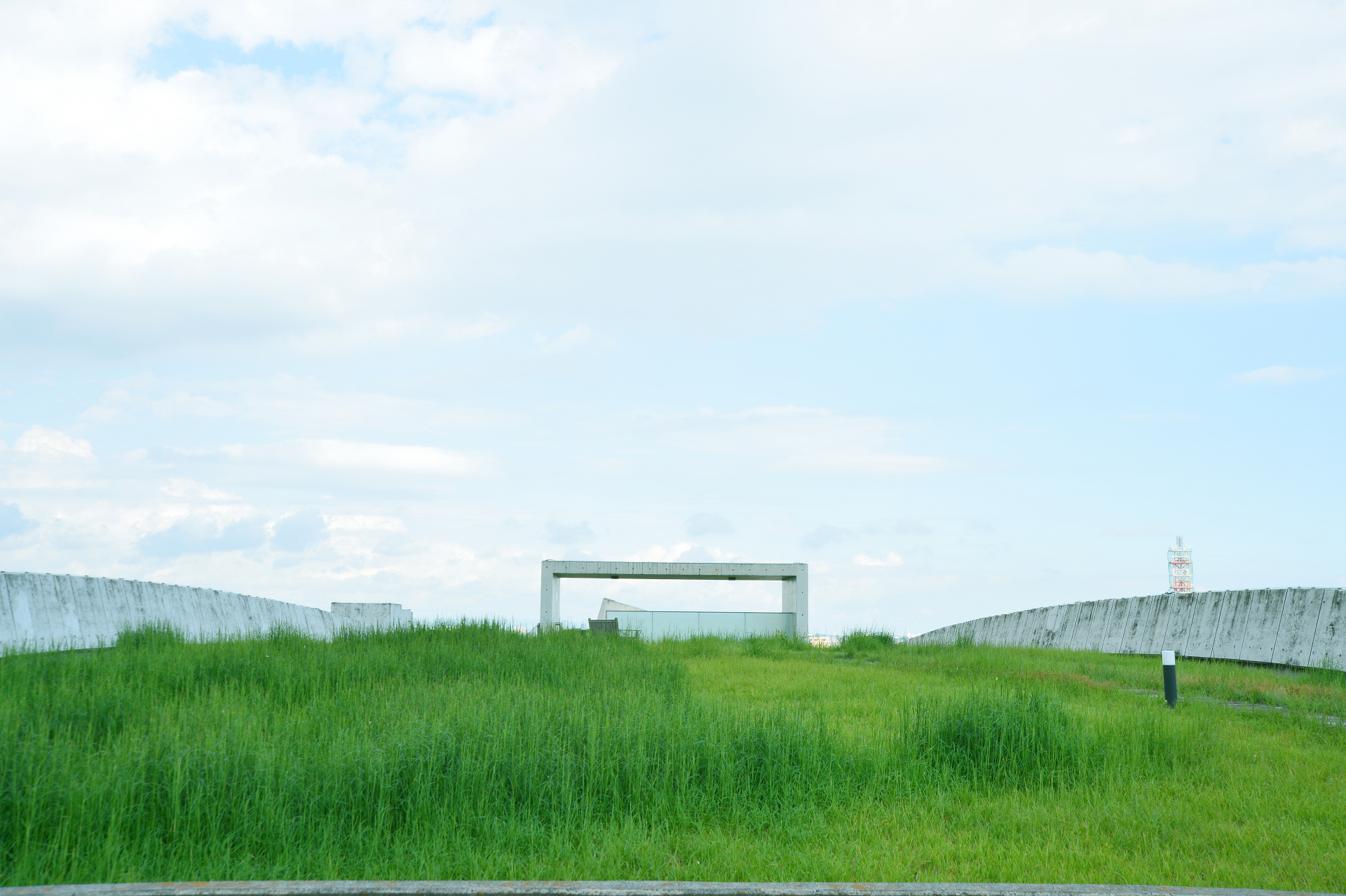 屋上庭園「創造の丘」の写真