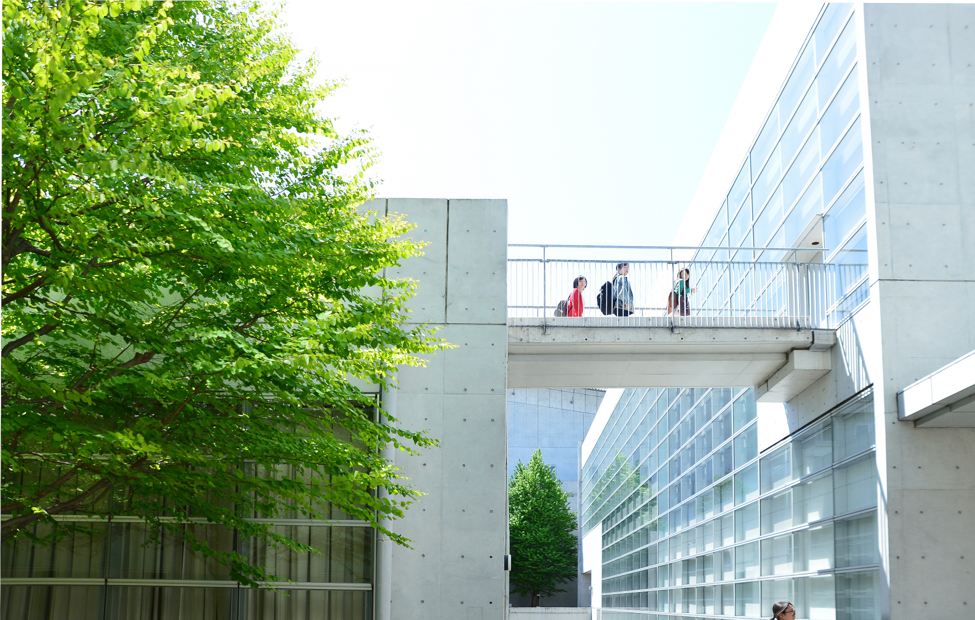 出会いの広場から西棟へ歩く学生の写真