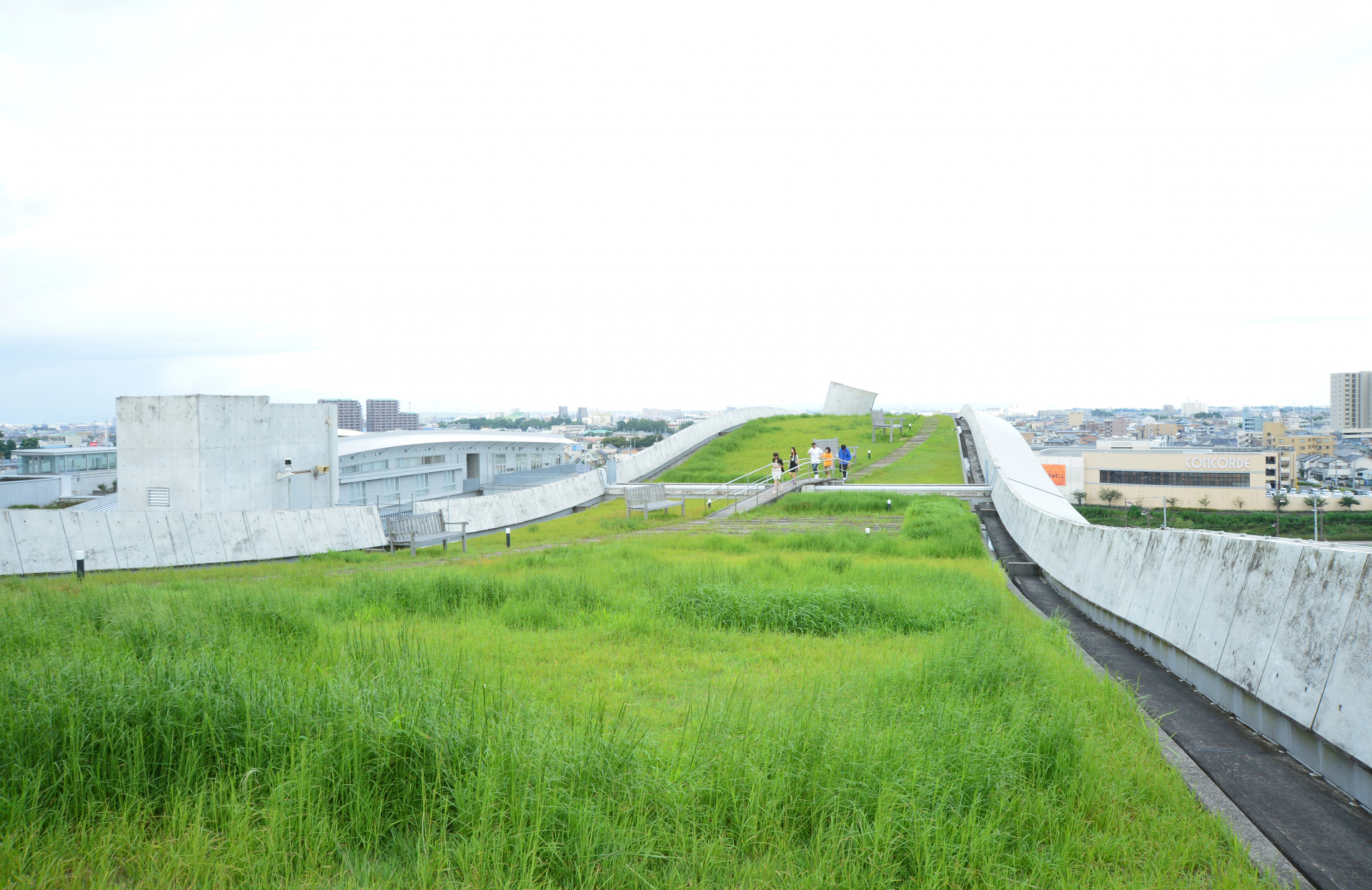 屋上庭園「創造の丘」を歩く学生の写真