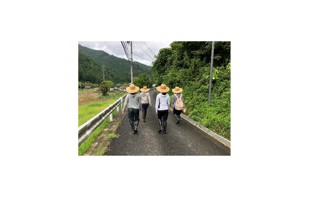 文化政策学科の学生による「浜松・中山間地域づくりインターン」活動