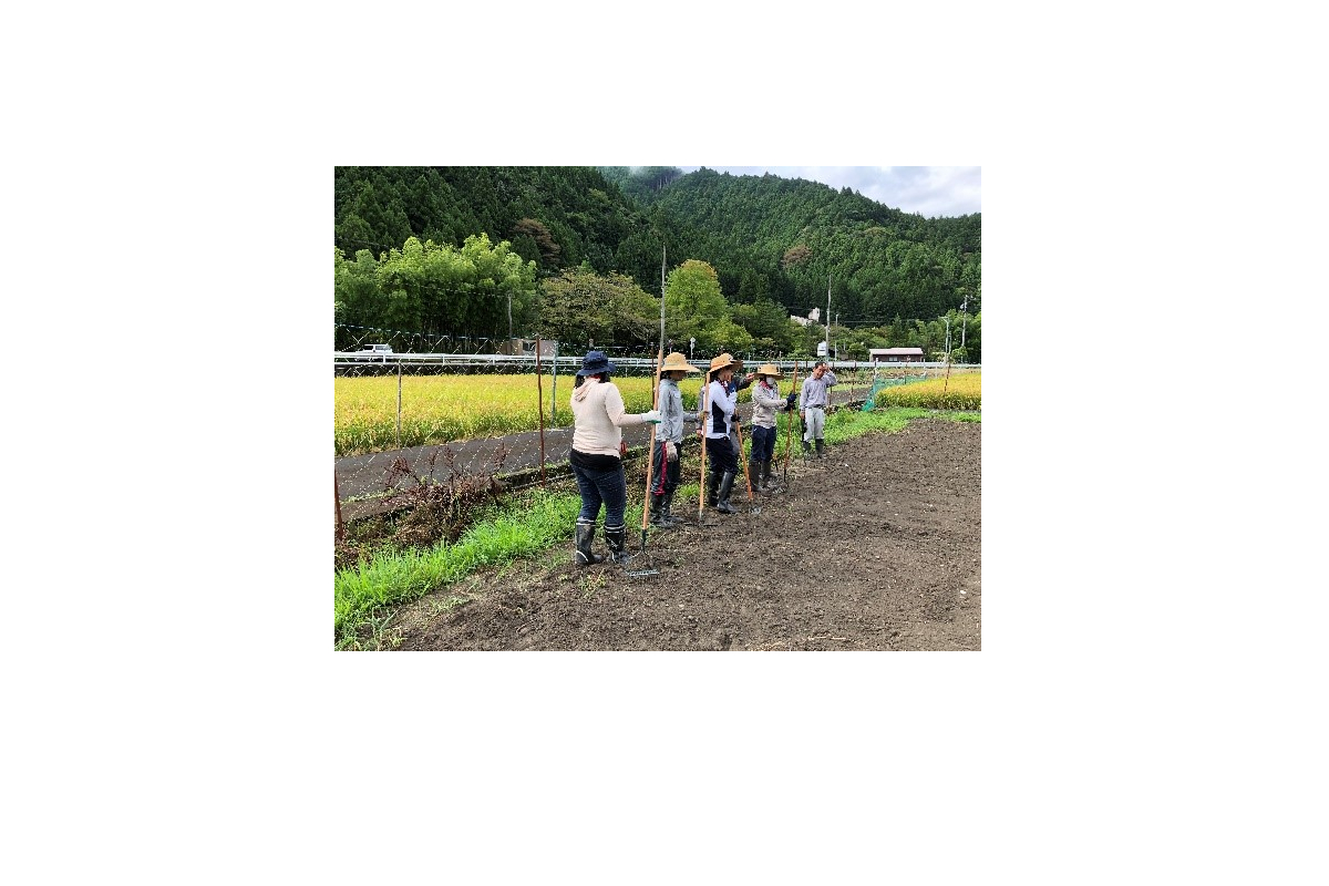 文化政策学科の学生による「浜松・中山間地域づくりインターン」活動