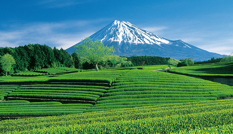 Mt. Fuji image