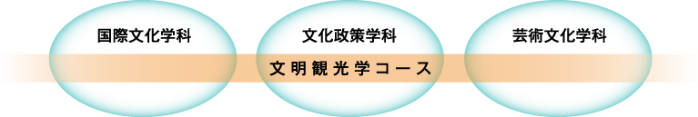 文明観光学コースは、文化政策学部の3学科すべての学生が履修することができます。