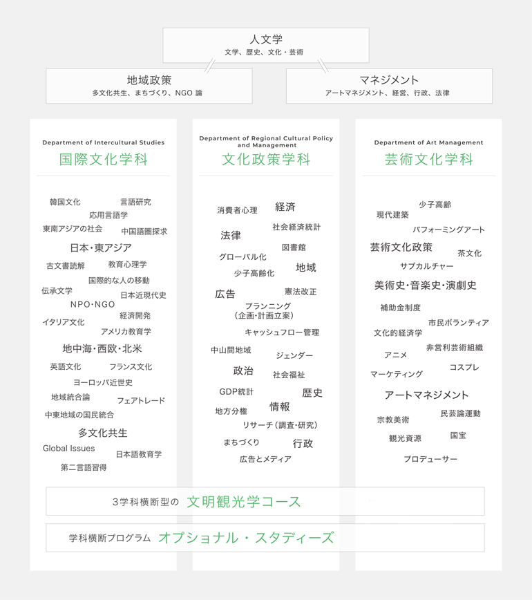 文化政策学部の3学科の関連性を示す図。「国際文化学科」と「文化政策学科」は、多文化共生やまちづくりなどの「地域政策」の領域で重なり合います。「文化政策学科」と「芸術文化学科」は、アート・マネジメントをはじめとする「マネジメント」の領域で重なり合います。「芸術文化学科」と「国際文化学科」は、文化・芸術全般の「人文学」の領域で重なり合います。また3学科横断型の文明観光学コースがあります。