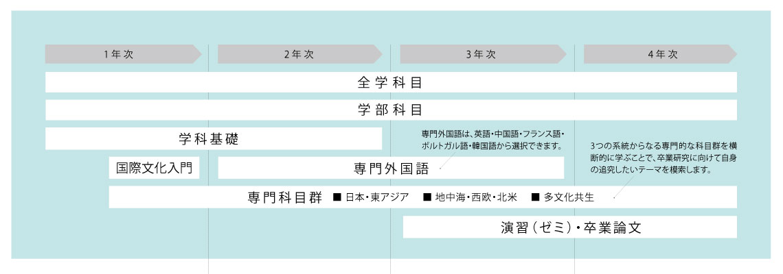 カリキュラムの要点を示す図。国際文化学科の1年次は学科基礎を中心に学びます。2年次になると専門科目が増え、専門外国語も始まります。3年次・4年次は演習（ゼミ）で研究テーマを深め、卒業論文を仕上げます。