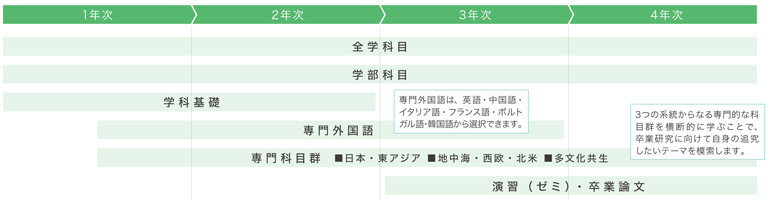カリキュラムの要点を示す図。国際文化学科の1年次は学科基礎を中心に学びます。2年次になると専門科目が増え、専門外国語も始まります。3年次・4年次は演習(ゼミ)で研究テーマを深め、卒業論文を仕上げます。