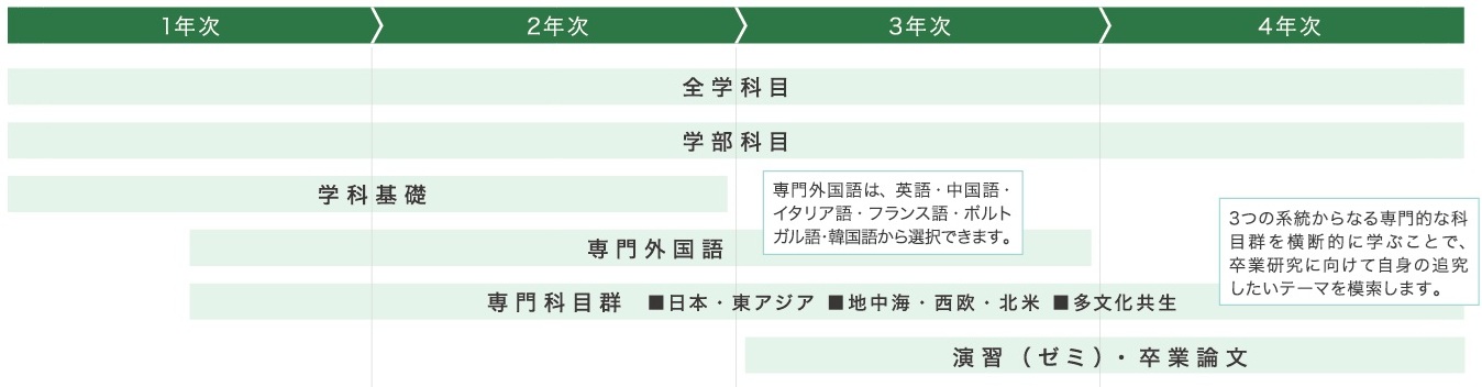 カリキュラムの要点を示す図。国際文化学科の1年次は学科基礎を中心に学びます。2年次になると専門科目が増え、専門外国語も始まります。3年次・4年次は演習（ゼミ）で研究テーマを深め、卒業論文を仕上げます。