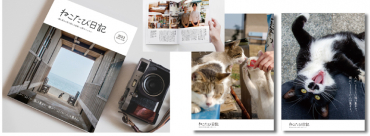 鈴木志歩さんの作品