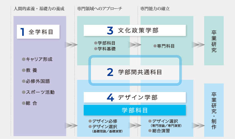 SUACで学ぶ4年間のイメージ図。人間的素養・基礎力の養成から、専門領域へのアプローチ、専門能力の確立へと進みます。