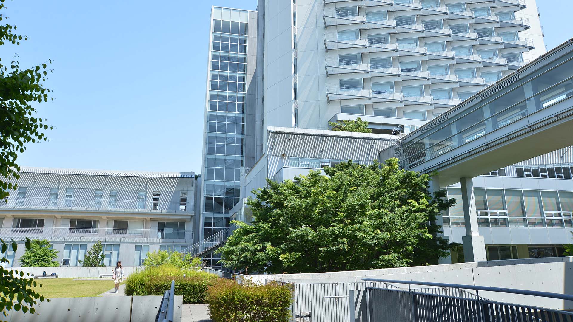 研究棟とブリッジの画像