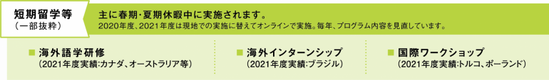 短期留学等（一部抜粋）　主に春期・夏期休暇中に実施されます。2020年度、2021年度は現地での実施に替えてオンラインで実施。毎年、プログラム内容を見直しています。　海外語学研修  （2021年度実績：カナダ、オーストラリア等）　 海外インターンシップ  （2021年度実績：ブラジル）　国際ワークショップ  （2021年度実績：トルコ、ポーランド）