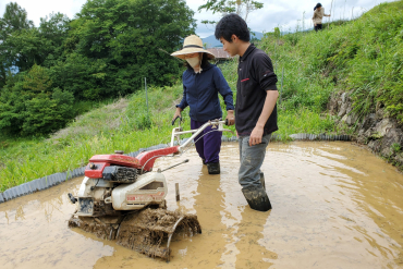 代掻き