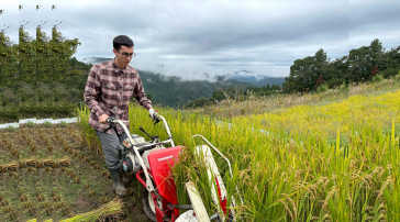 学生団体「引佐耕作隊」による稲刈り