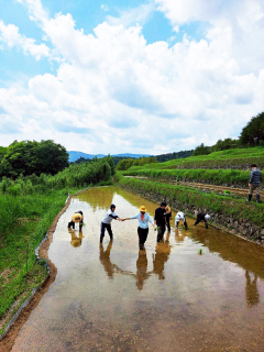 田植え作業の様子
