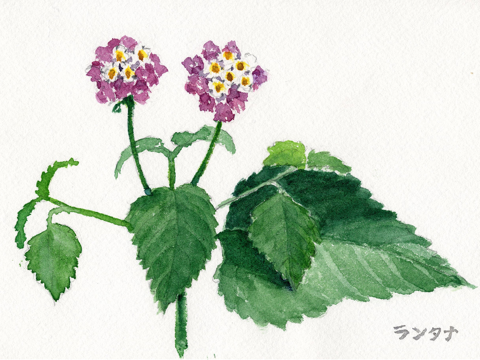 大学公開工房のための自作オリジナル作品1