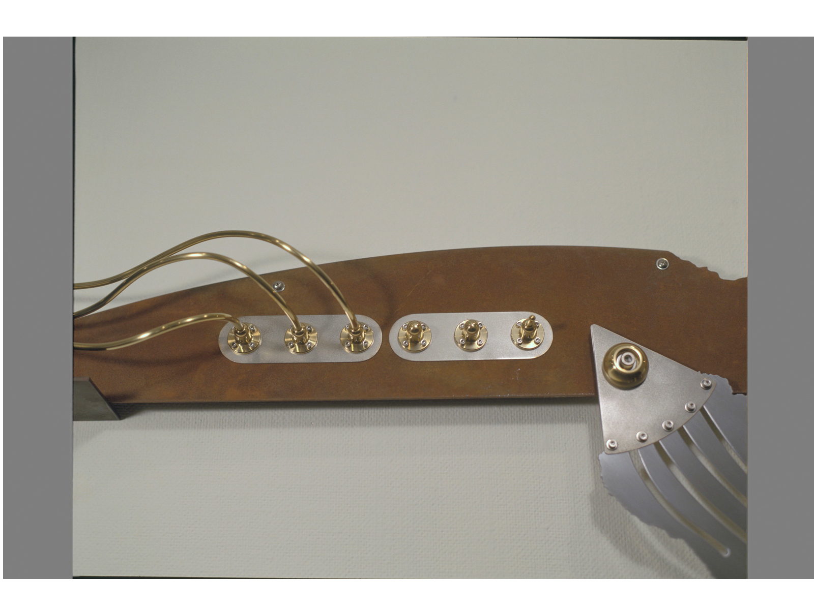 Iridescent Chatterbox