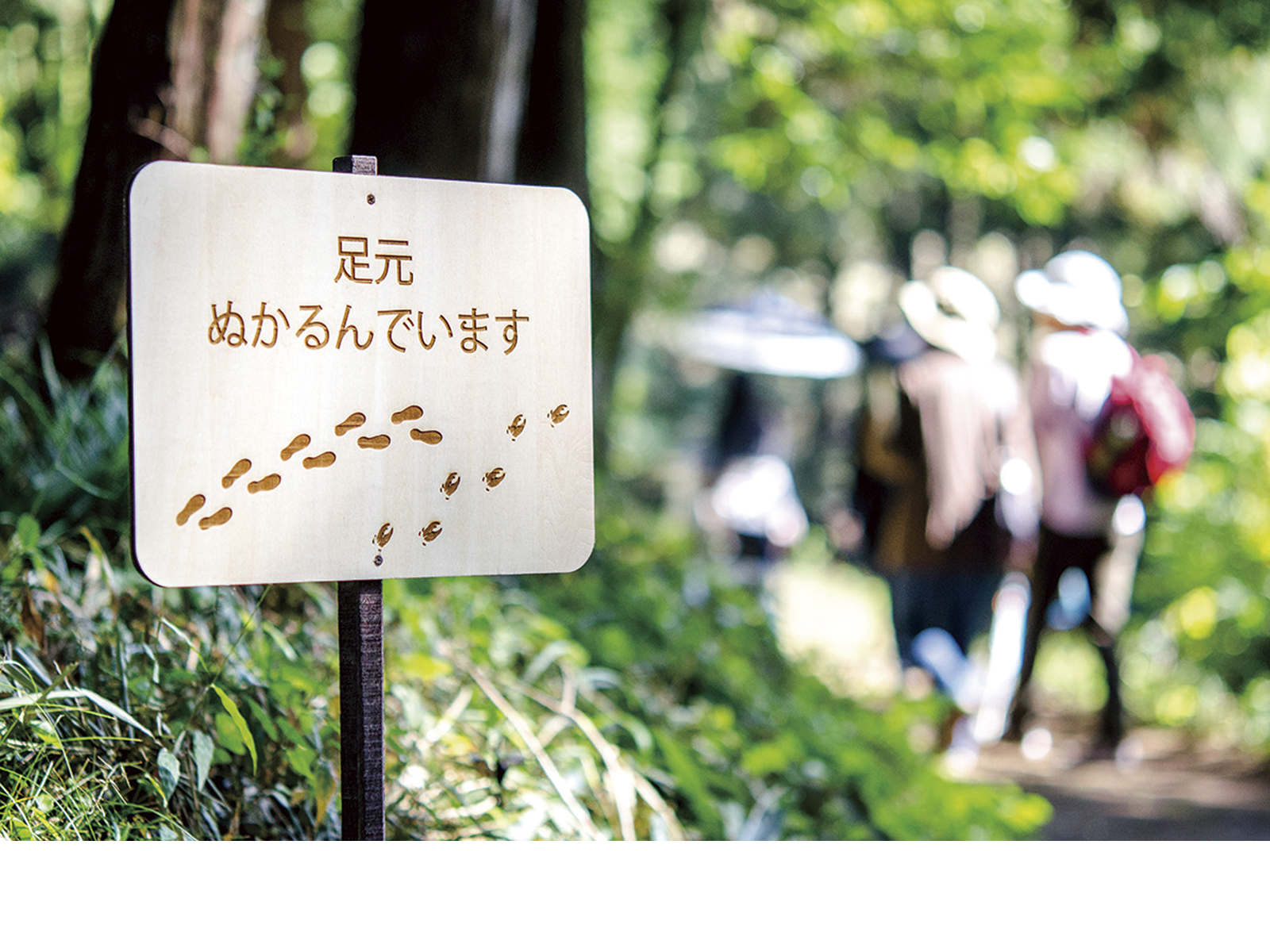 梅平地区・馬頭琴演奏会のトータルコーディネート