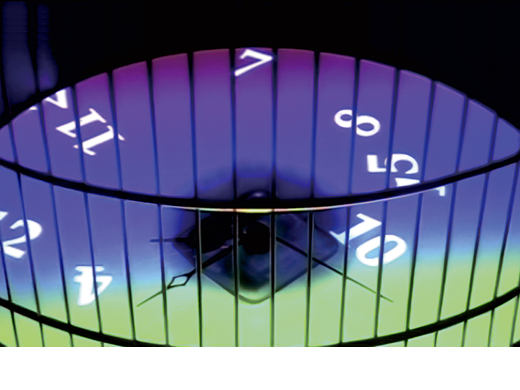 freeway clock