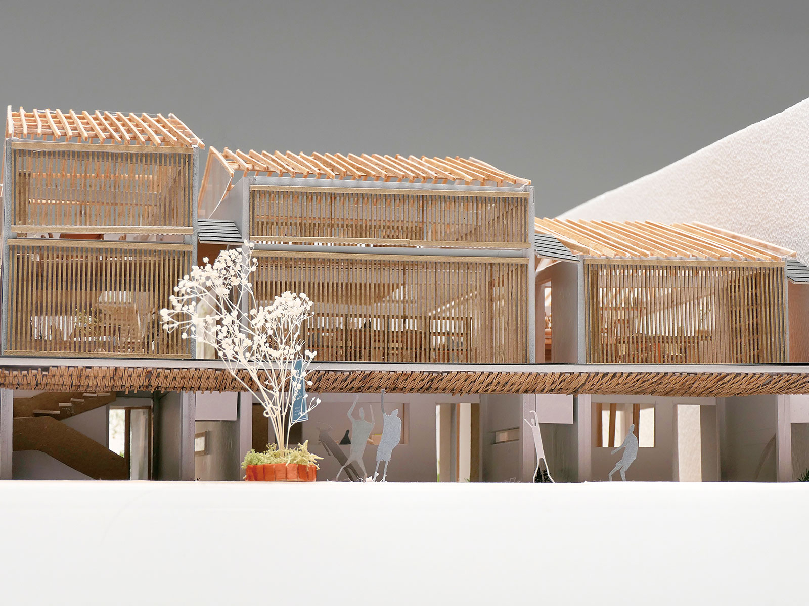 子と大人を紡ぐ、お茶の居所