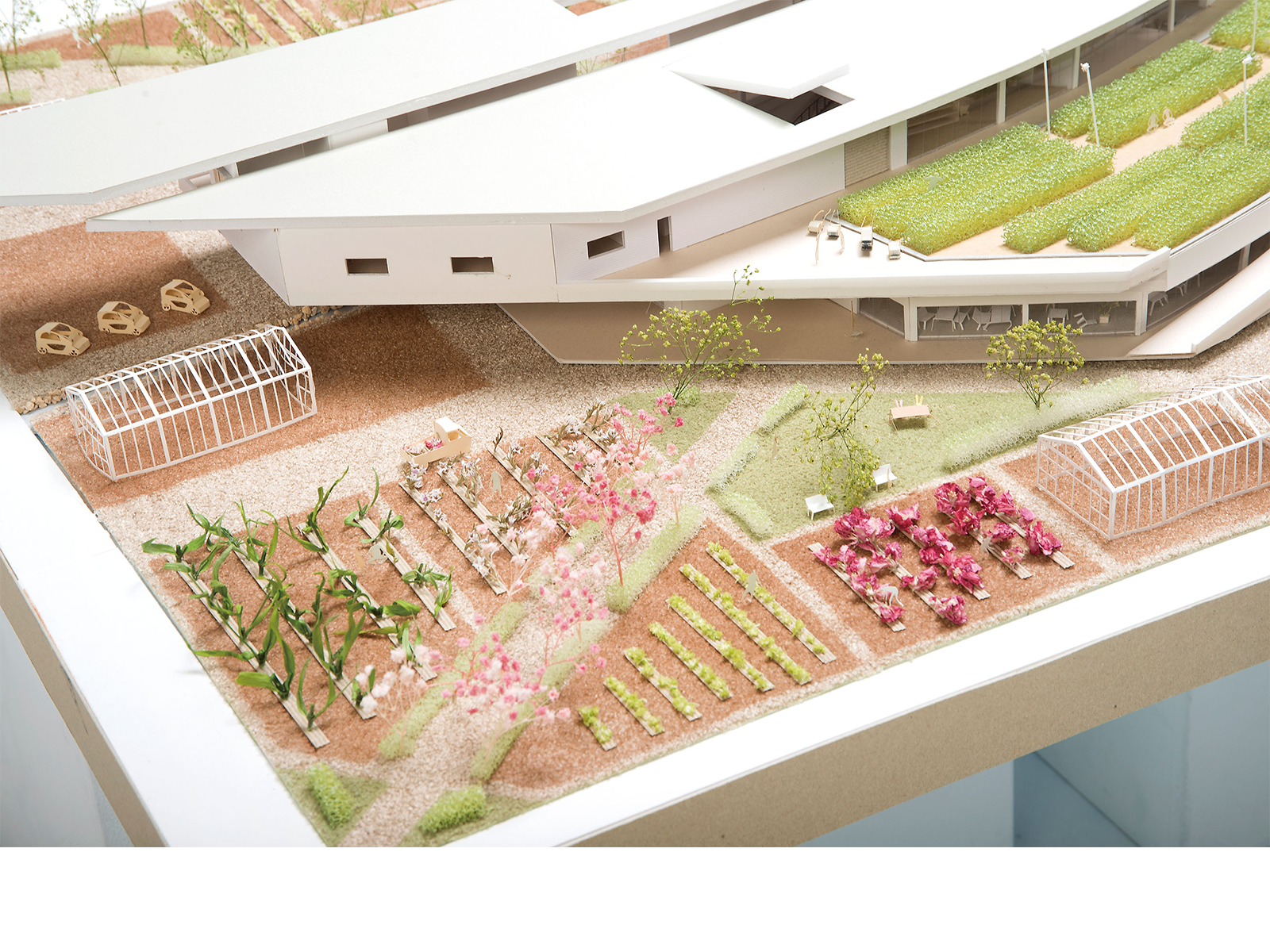 気づきから始まる牧之原の未来