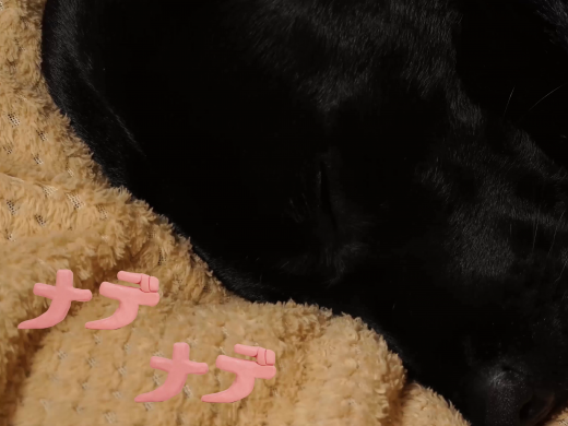 みえるオノマトペ